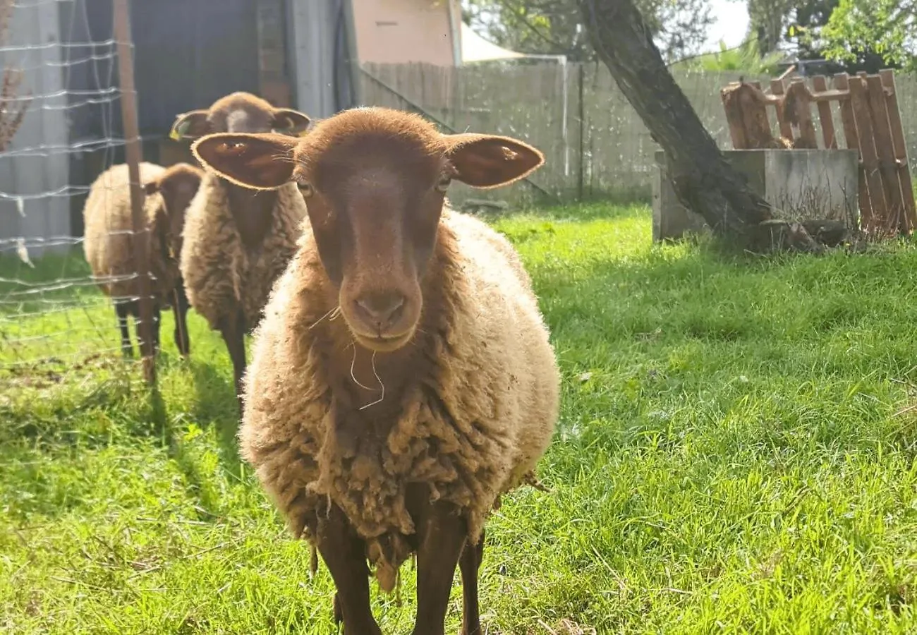 Hébergement de vacances Le Loft Nature Bien-Etre du Tarn entre Toulouse et Albi Peyrole