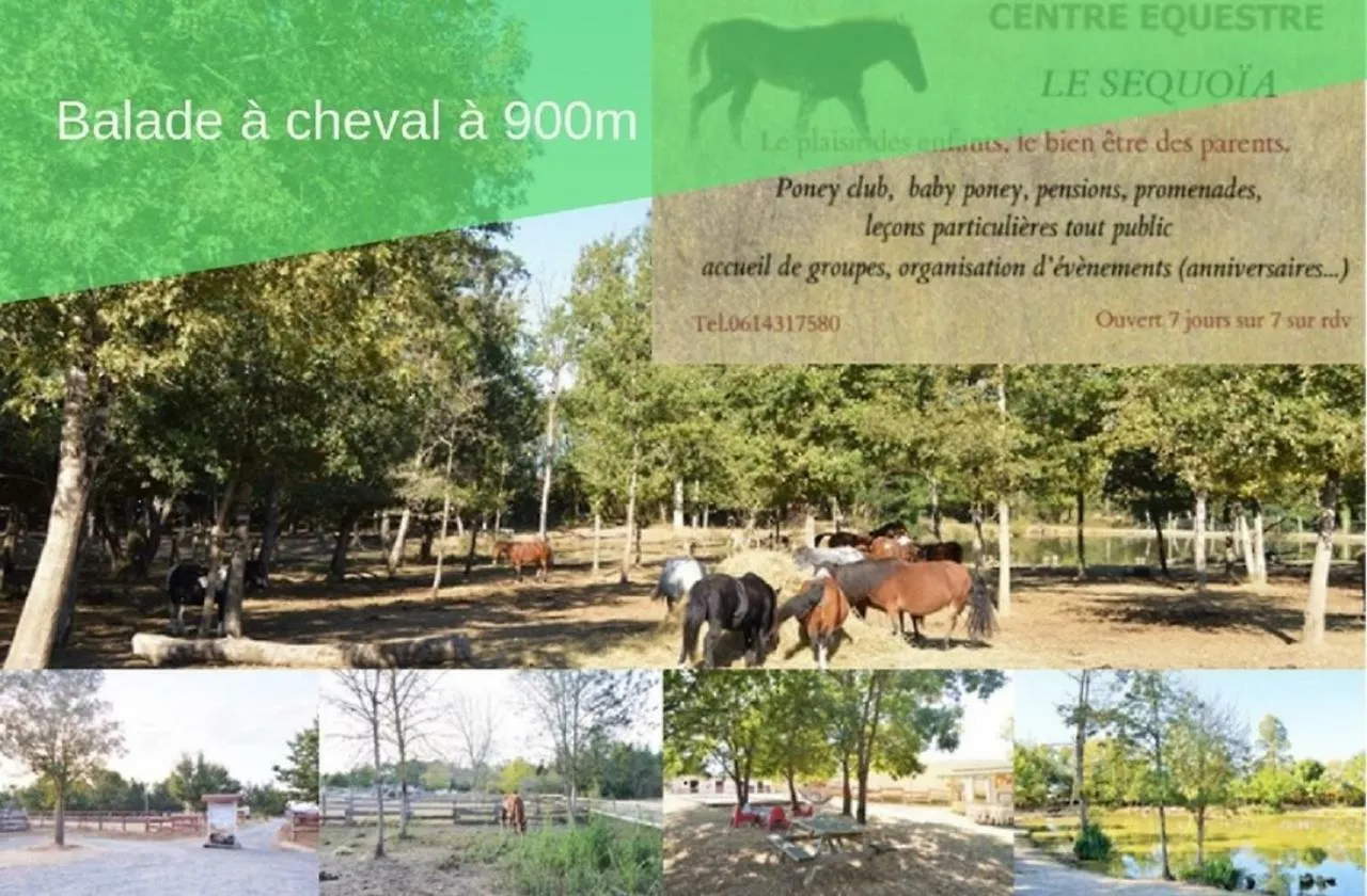 Hébergement de vacances Le Loft Nature Bien-Etre du Tarn entre Toulouse et Albi Peyrole
